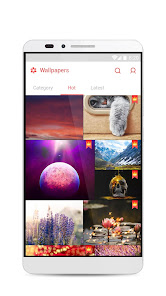 Screenshot image